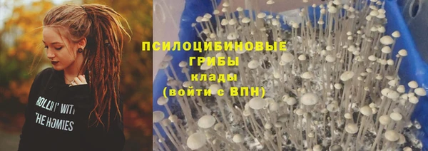 ALPHA PVP Гусиноозёрск