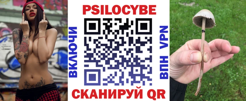 Галлюциногенные грибы ЛСД  дарнет шоп  Хасавюрт 